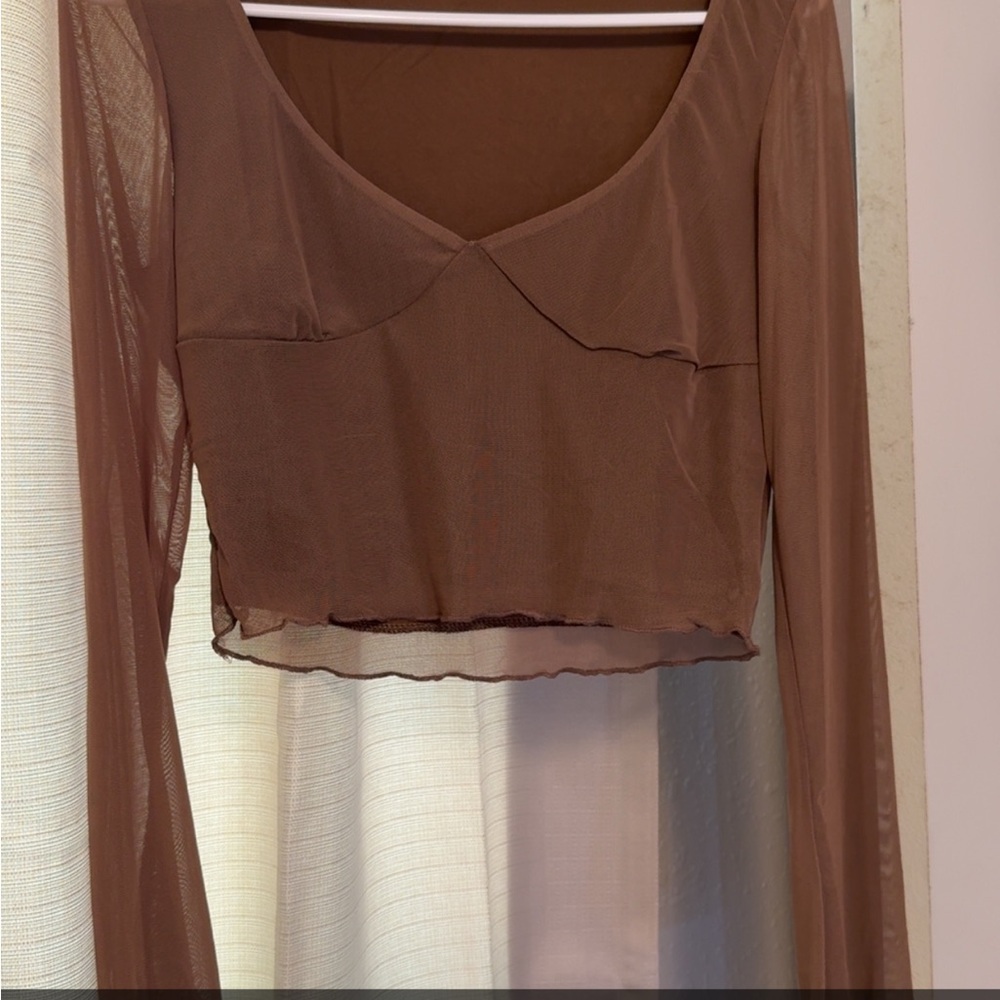 Sheer Brown Long Sleeve Top